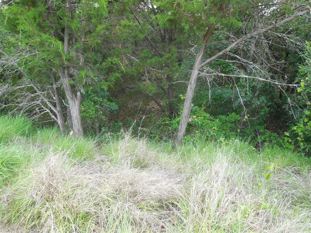 Mary Fury 127 - Land