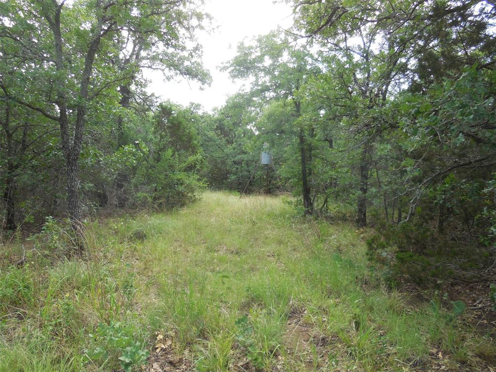 Mary Fury 127 - Land