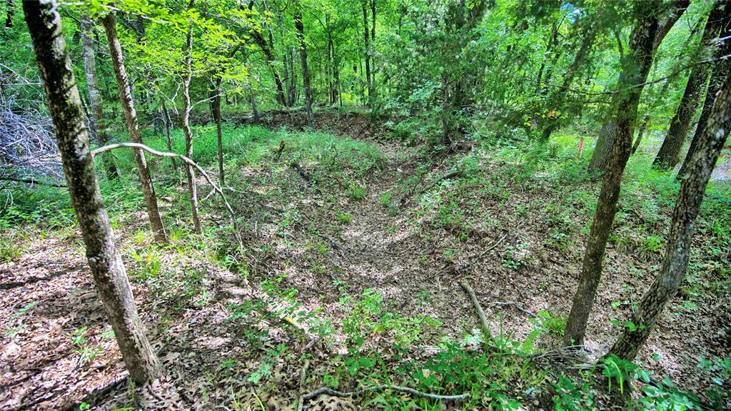 TBD Oak Cove Court