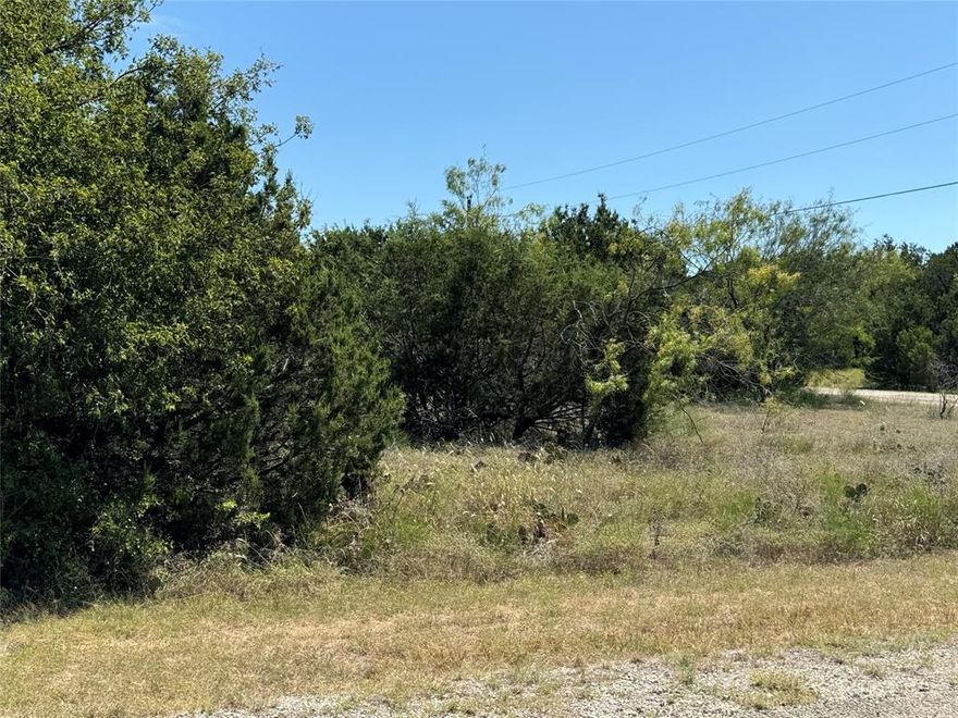 Little over a quarter acre corner lot.  Come enjoy community living with the deer, turkey and even a few bobcats roaming. Venture on down to the marine and watch the sunsets over gorgeous Lake Whitney. Owning a lot in White Bluff Resort gives you 36 rounds of golf a year at one of the 2-World Class 18-Hole Golf Courses that are a challenge for any golfer, 4 swimming pools to choose from to cool off while soaking up the sun, restaurants, tennis courts, etc. Plus the privilege to meet and make some wonderful friends. Marvel at the wildlife as they roam freely throughout the community. Build your dream home, rather a permanent residence or weekend get-away. Custom builders are ready to build from your plans or their own. If you choose not to build, that's okay too. So many amenities to enjoy as an owner.