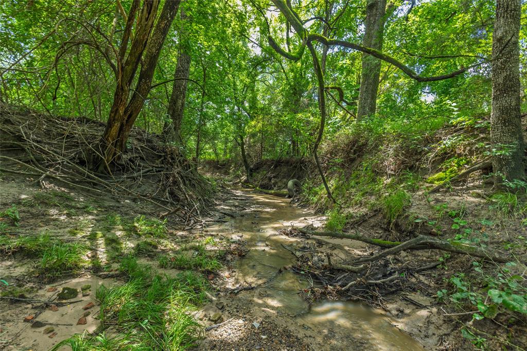 Phineas P Woodberry Surv Abs # - Residential