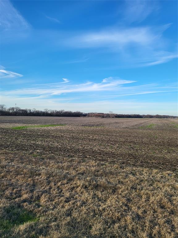 George Morgan Surv Abs 773 - Land