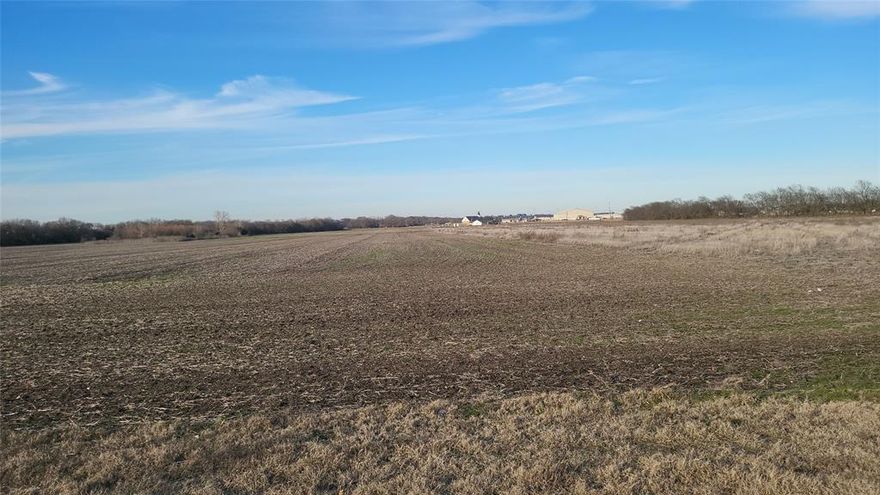 Ideal  for development, AG exempt land with frontage on FM 902 in Tom bean. 12 miles from Sherman and   proximity to Hwy 75.There is water and sewer located within close proximity to site and is located within half a mile of Tom Bean High School.