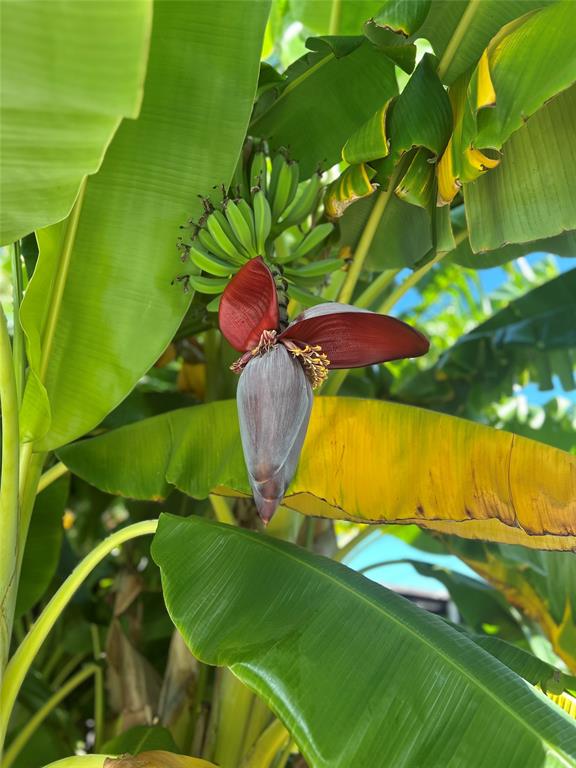 Prestonwood Estates - Residential