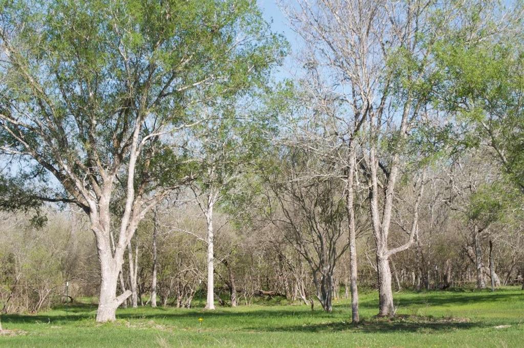 1527 County Road 412