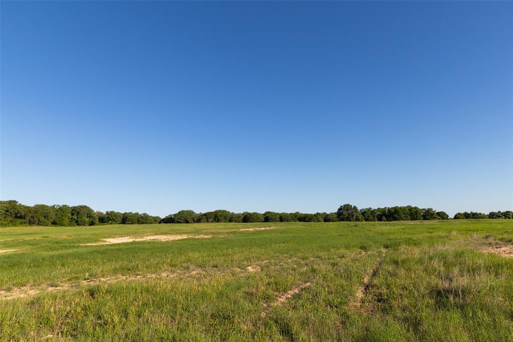 A0198 DILLARD REUBEN - Farm