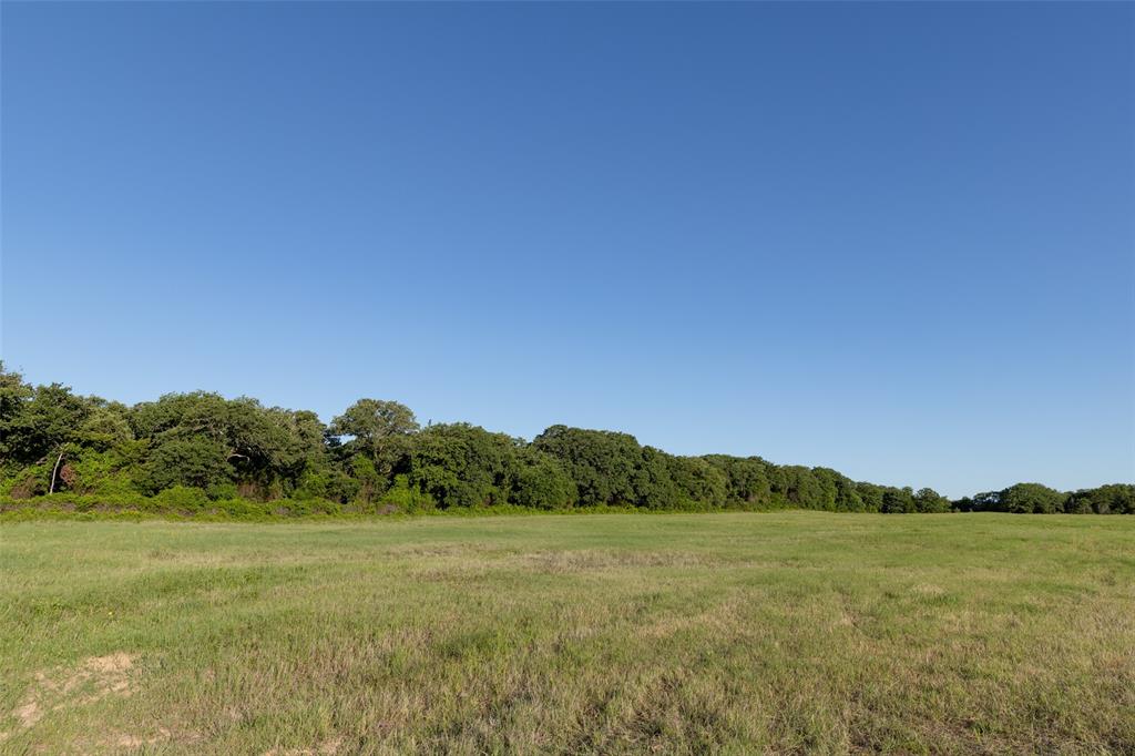 A0198 DILLARD REUBEN - Farm