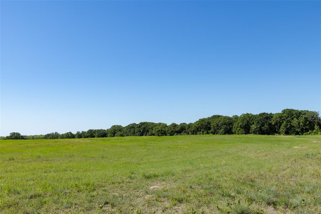 A0198 DILLARD REUBEN - Farm