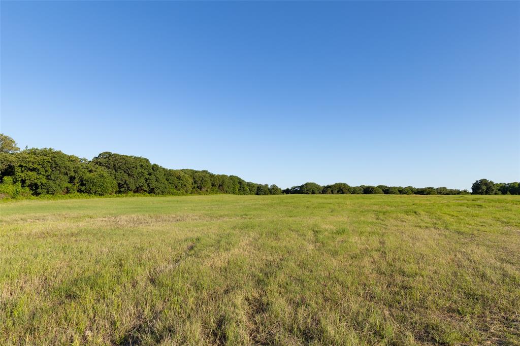 A0198 DILLARD REUBEN - Farm