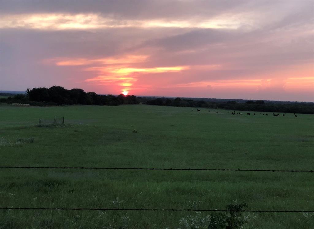 Photo of 2110 County Road 362, Desdemona, TX 76445 (MLS # 21320106)