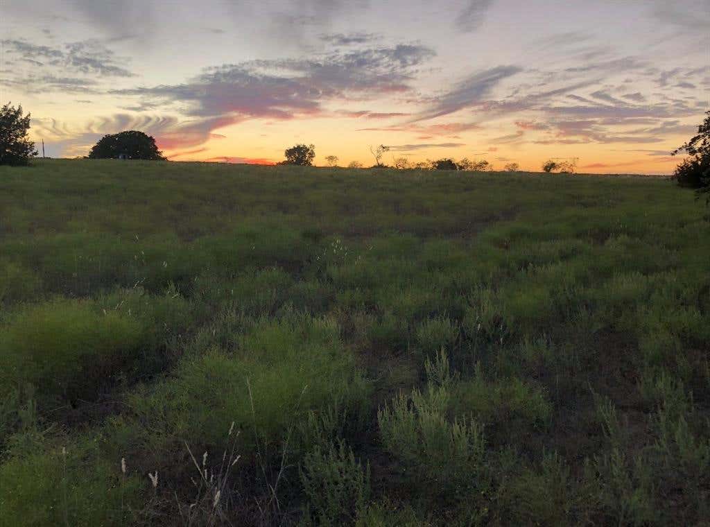 Photo of 2110 County Road 362, Desdemona, TX 76445 (MLS # 21320106)
