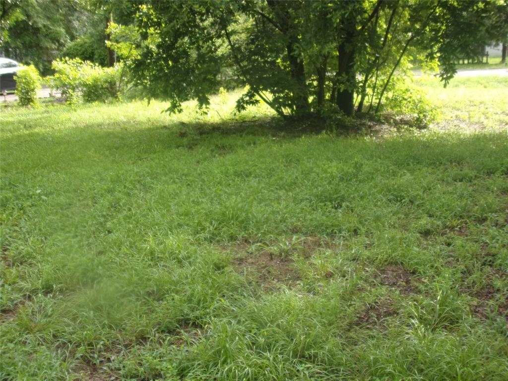 Hickory Hills II - Land