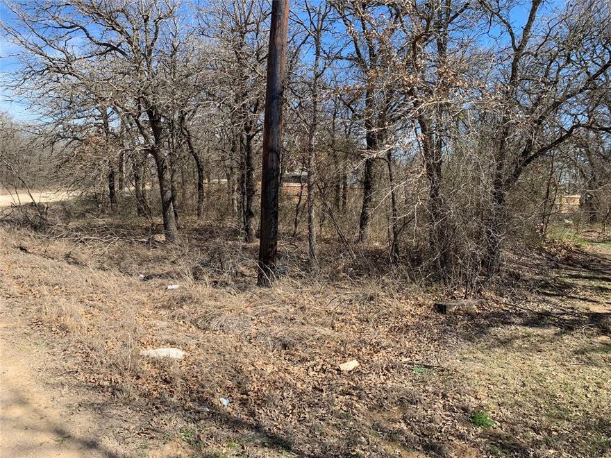 Flat lot ready to build your dream home on it. Near Bridgeport Lake, where there is a lot of nature, fishing, boating, Golf Club, Dining and more.
Survey Available.  You can build the property to suit your living needs or build and sell or rent for profit.