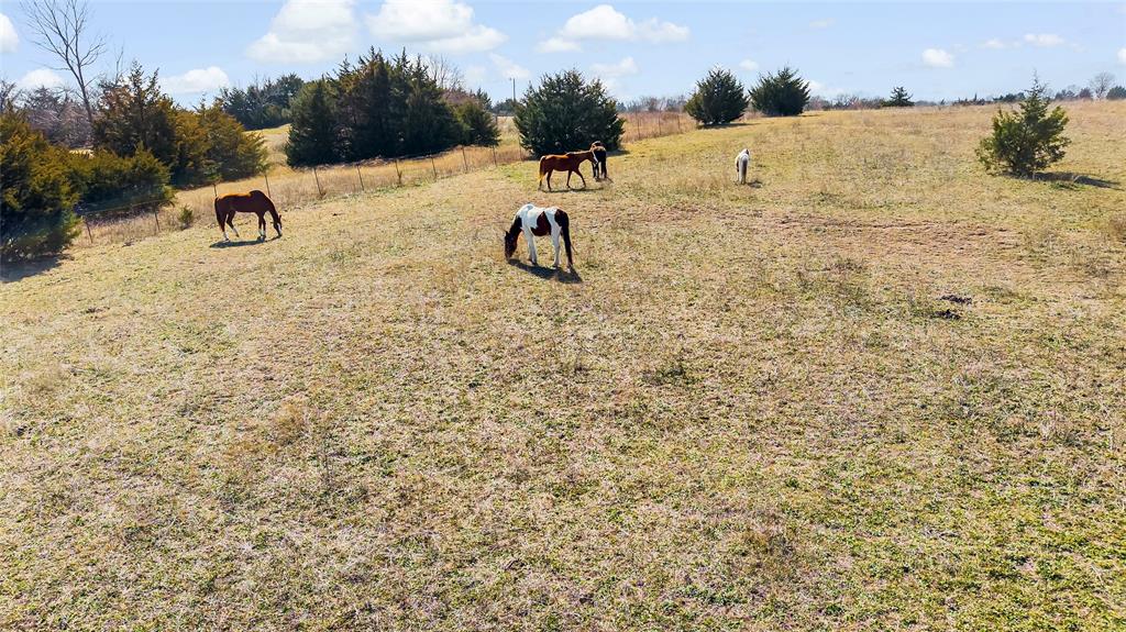 (A0555) MOORE, LONSON - Land