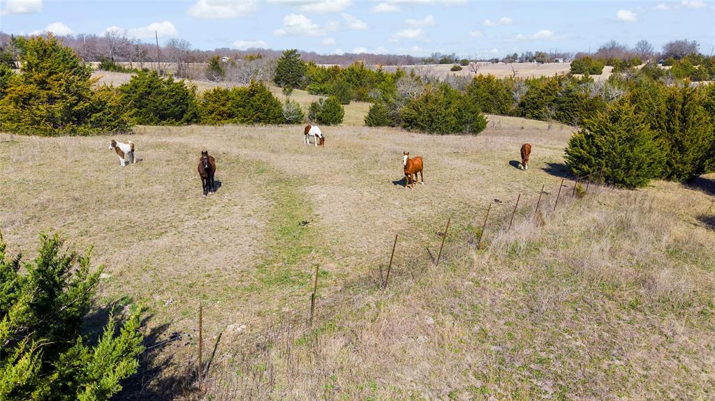 (A0555) MOORE, LONSON - Land