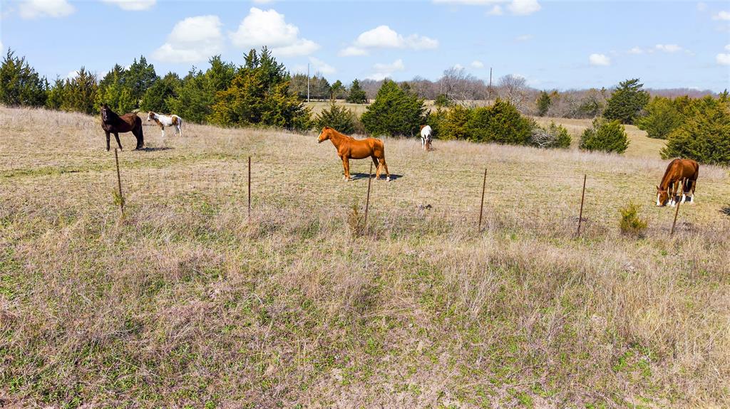 (A0555) MOORE, LONSON - Land
