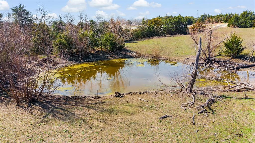 (A0555) MOORE, LONSON - Land