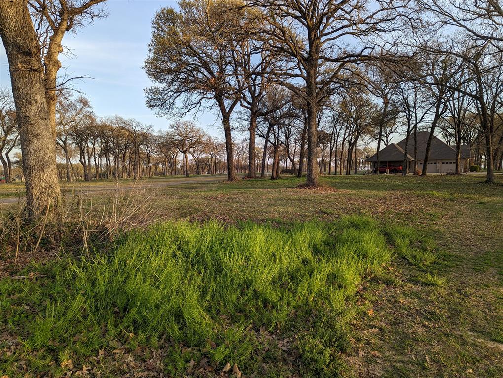 Felipe Cortez A-78 - Land