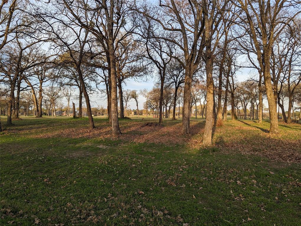 Felipe Cortez A-78 - Land