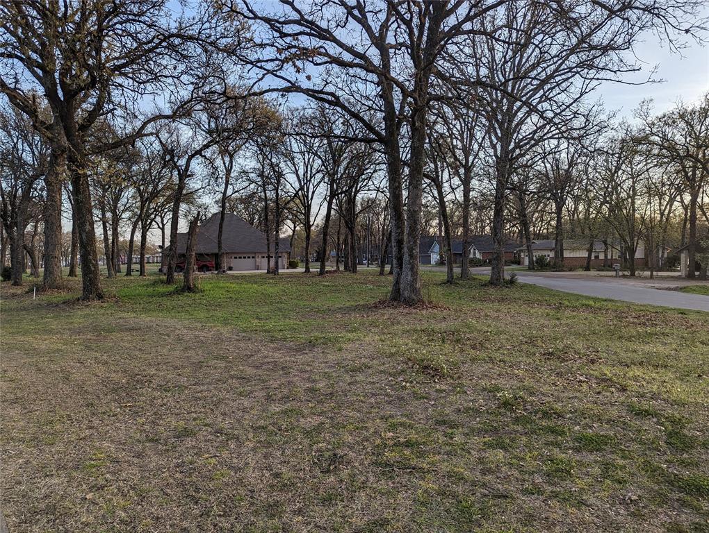 Felipe Cortez A-78 - Land