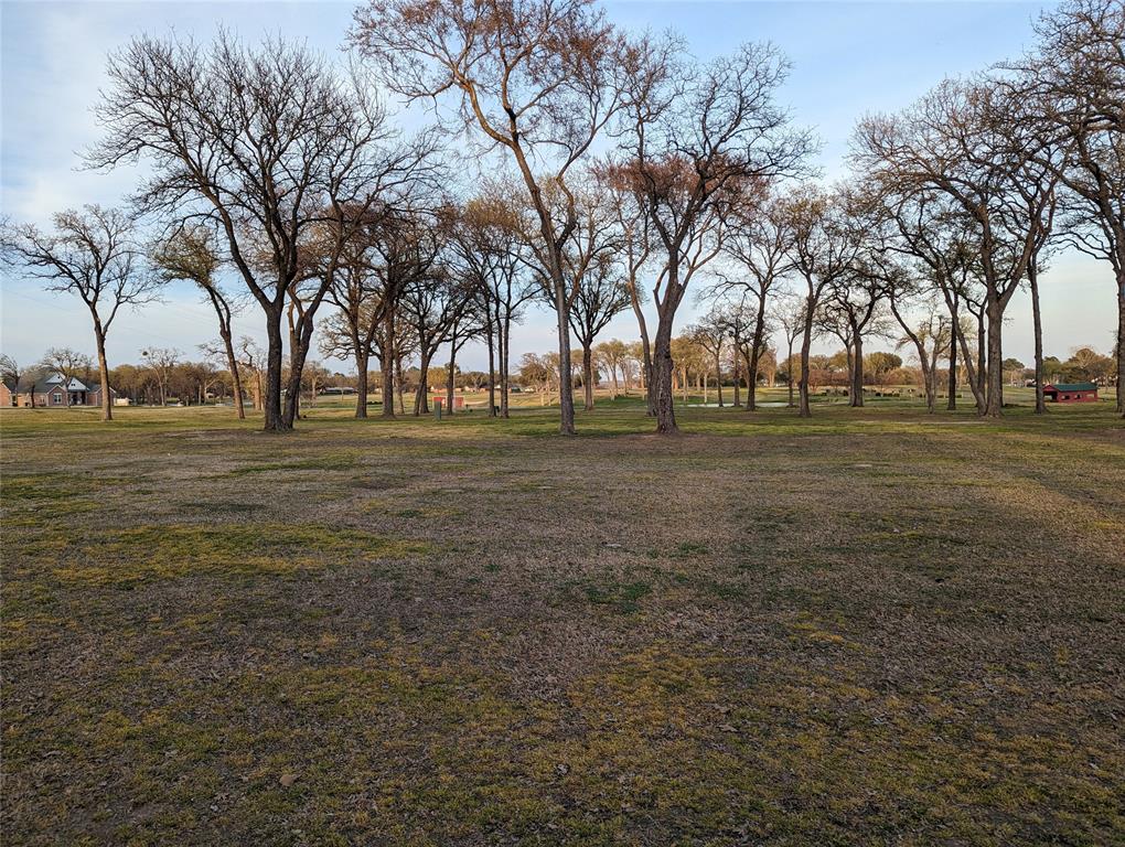 Felipe Cortez A-78 - Land