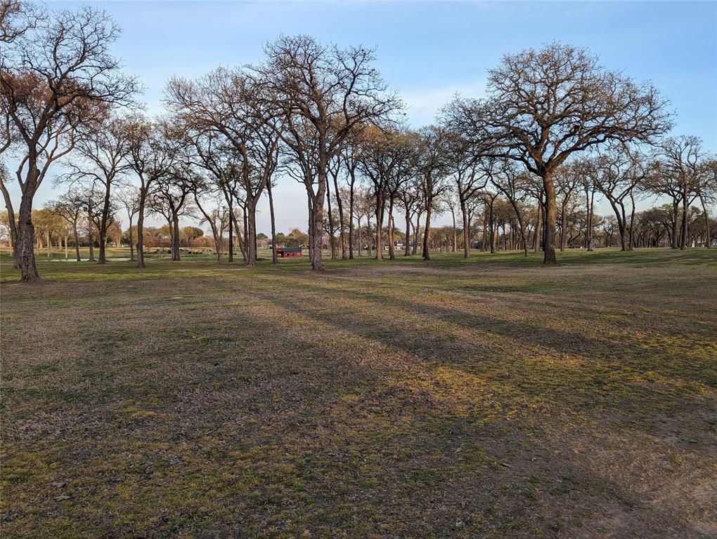 Felipe Cortez A-78 - Land