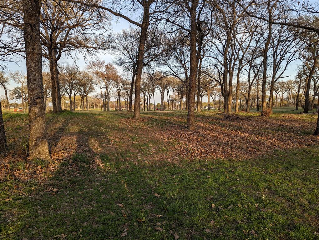 Felipe Cortez A-78 - Land