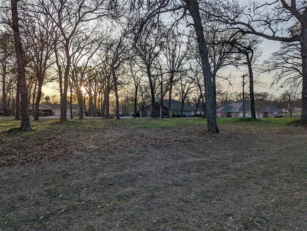 Felipe Cortez A-78 - Land