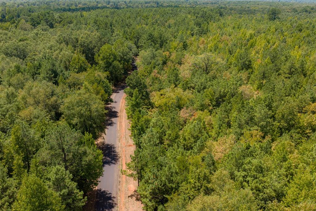 N County Road 1207
