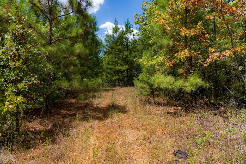 N County Road 1207