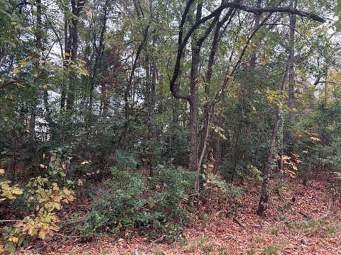 Featured picture for the property 20788987