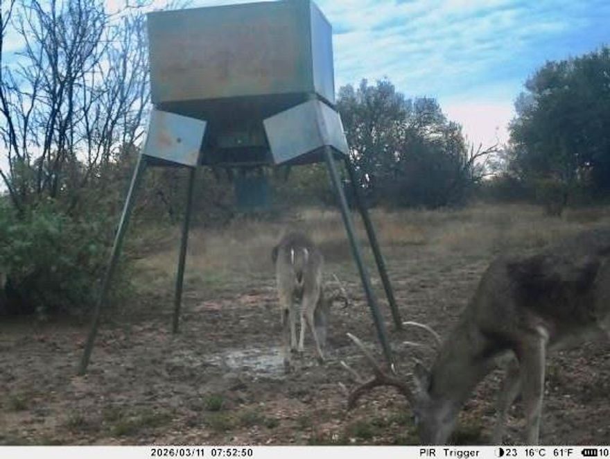 Premier hunting and recreational property offering exceptional habitat for whitetail deer, turkey, dove, and feral hogs. The ranch features rolling terrain with a beautiful mix of live oaks, post oaks, mesquite, and native browse, along with open fields ideal for food plots or grazing. Water features include four water wells (two condition unknown), three stock tanks, and a rock-bottom wet weather creek lined with mature oaks that feeds two tanks and attracts wildlife. Improvements include a 4BR - 3BA barndominium with granite countertops, knotty alder cabinetry, stained concrete floors downstairs, and hickory hardwood floors upstairs. The property is fully fenced with one cross fence, and deer stands and feeders can convey, offering a turnkey hunting setup. Conveniently located approx. 20 minutes west of Goldthwaite, 30 minutes NE of Brownwood, and about 2 hours from Austin. Ideal for a weekend retreat, hunting ranch, or full-time country home.