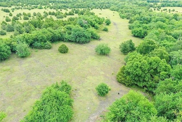 Sarah Dillingham - Land