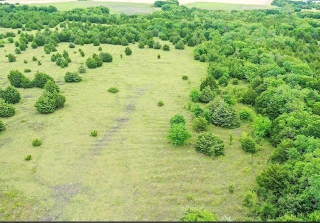 Sarah Dillingham - Land