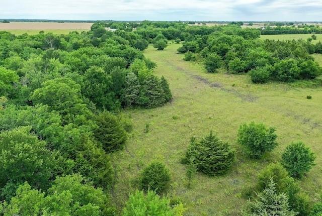 Sarah Dillingham - Land