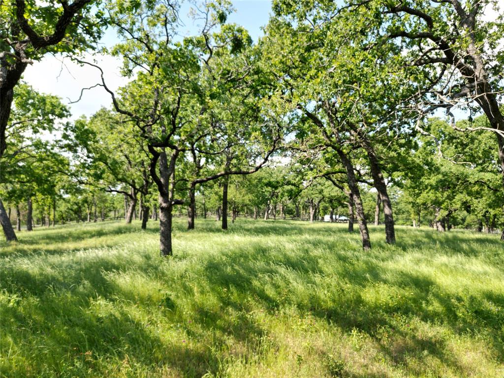 Eagle Nest Add - Land