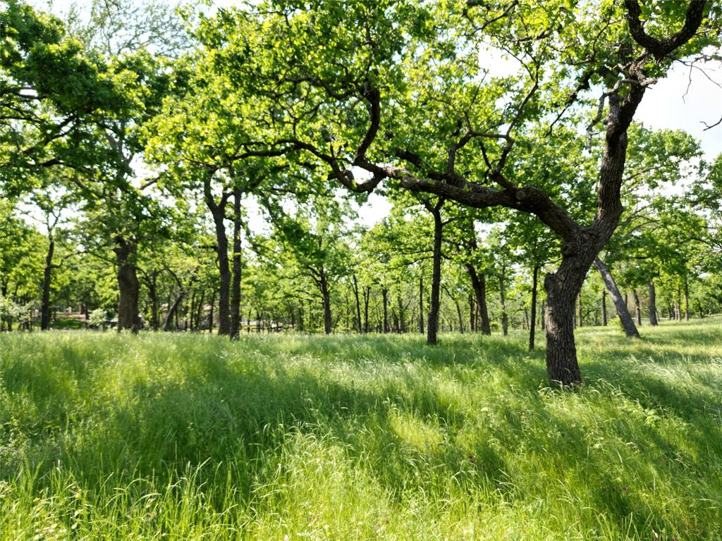 Eagle Nest Add - Land