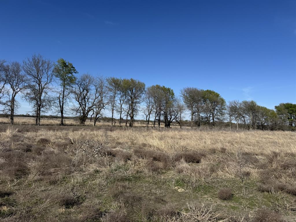 The Ranches at Twin Lakes - Land