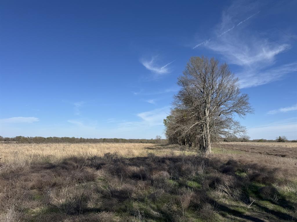The Ranches at Twin Lakes - Land