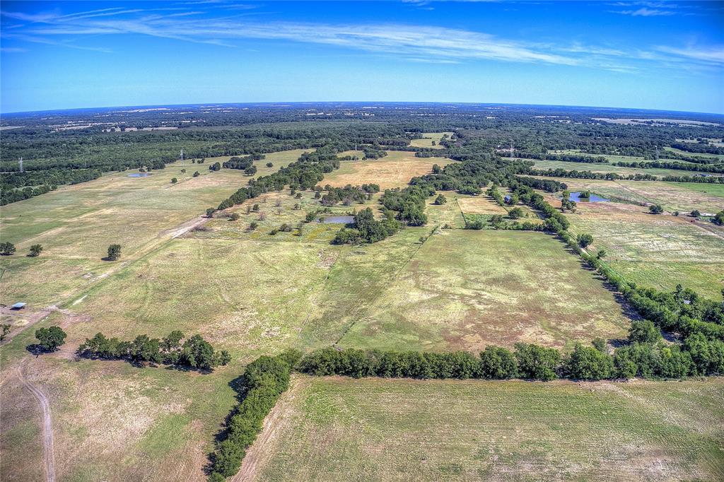 229 County Road 4733