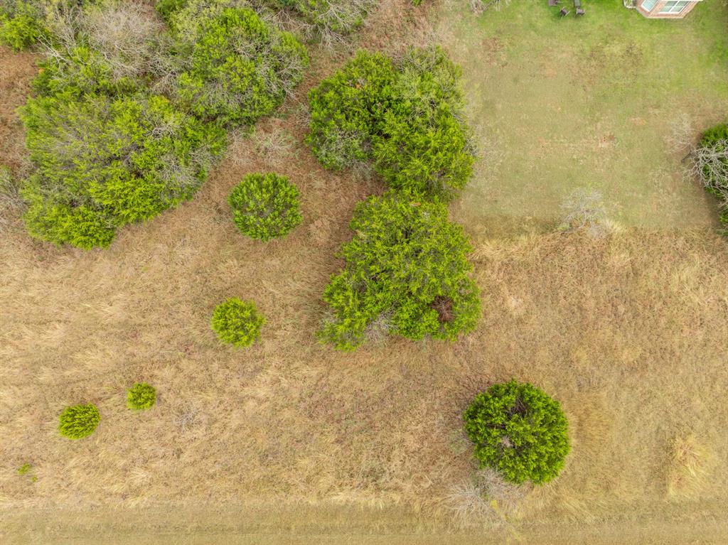 White Bluff #39 - Land