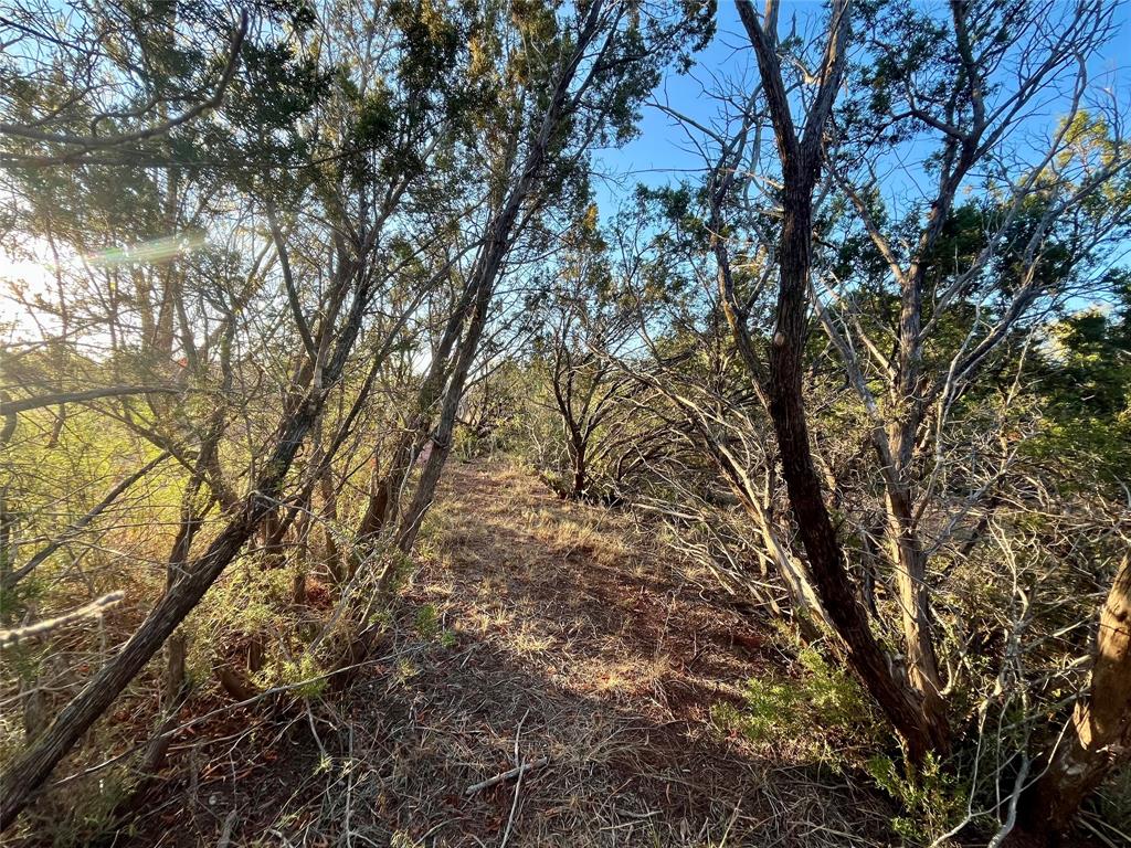 Cedar Bend Estates - Land