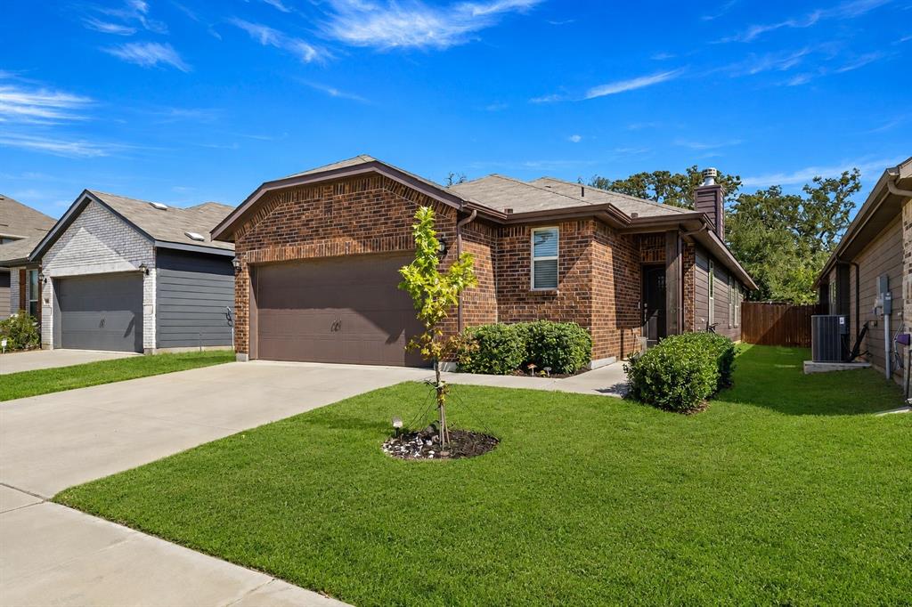 589 Concho Street