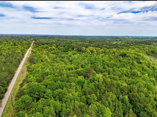 TBD WHITE OAK RD, BIG SANDY, TX 75647 - Image c7182b0fc753e3345f1cbf75ff3e6b6d/3406074573
