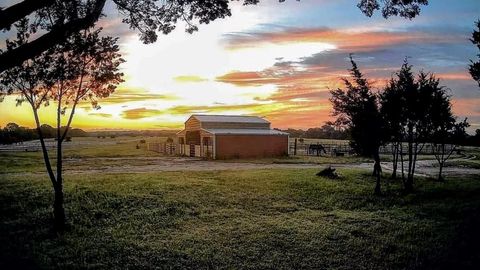 Farm in Waco TX 3164 Clater Powell Road.jpg