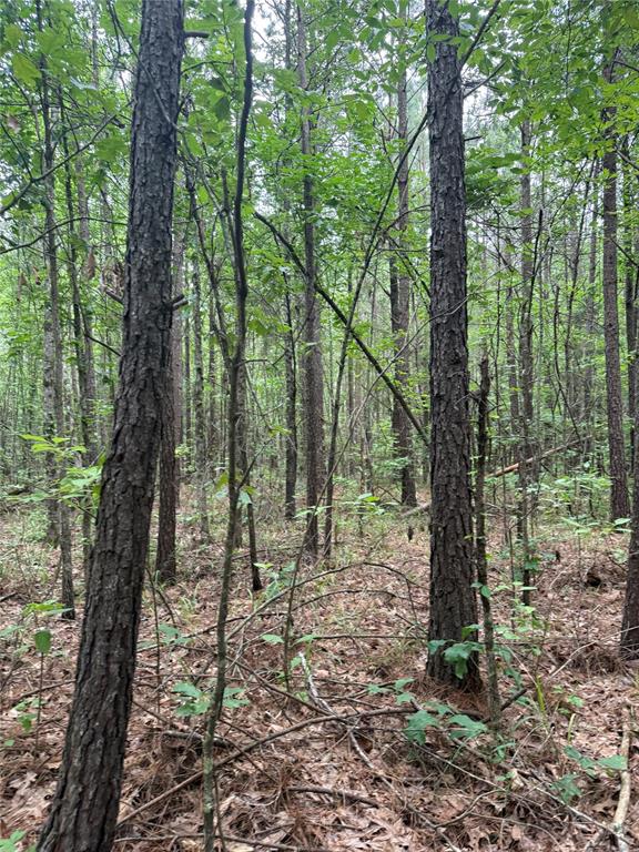 Benton, Louisiana 71006, United States, ,Land,Active,150127