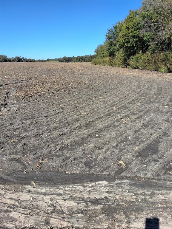 T B D HCR 3124 (Main ST)