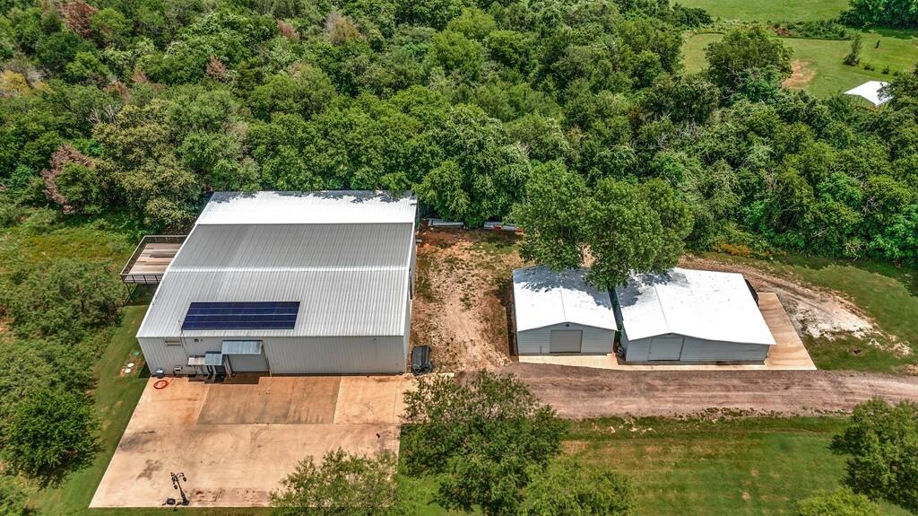 Firewheel Flower - Residential