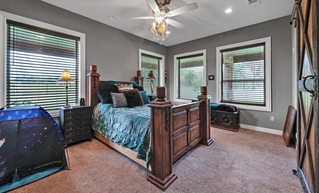 Firewheel Flower - Residential