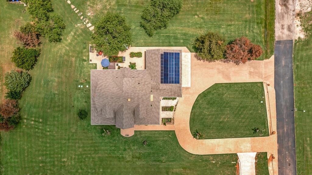 Firewheel Flower - Residential